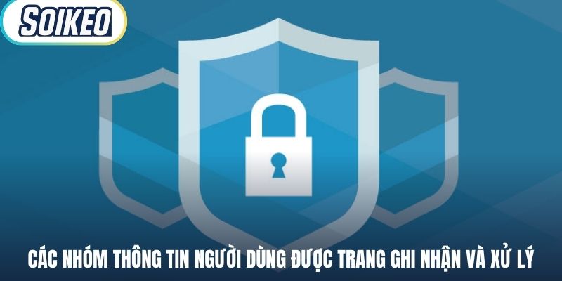 Các nhóm thông tin người dùng được trang ghi nhận và xử lý