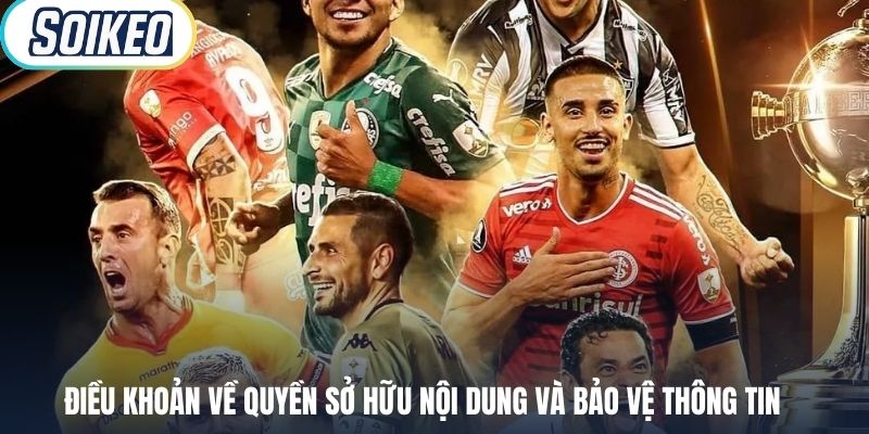 Điều khoản về quyền sở hữu nội dung và bảo vệ thông tin