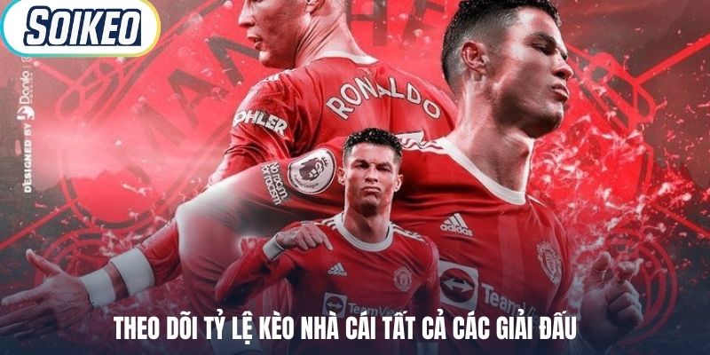 Theo dõi tỷ lệ kèo nhà cái tất cả các giải đấu