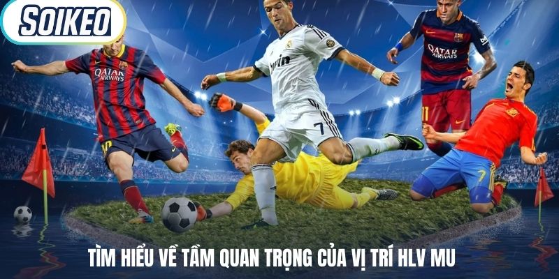 Tìm hiểu về tầm quan trọng của vị trí HLV MU